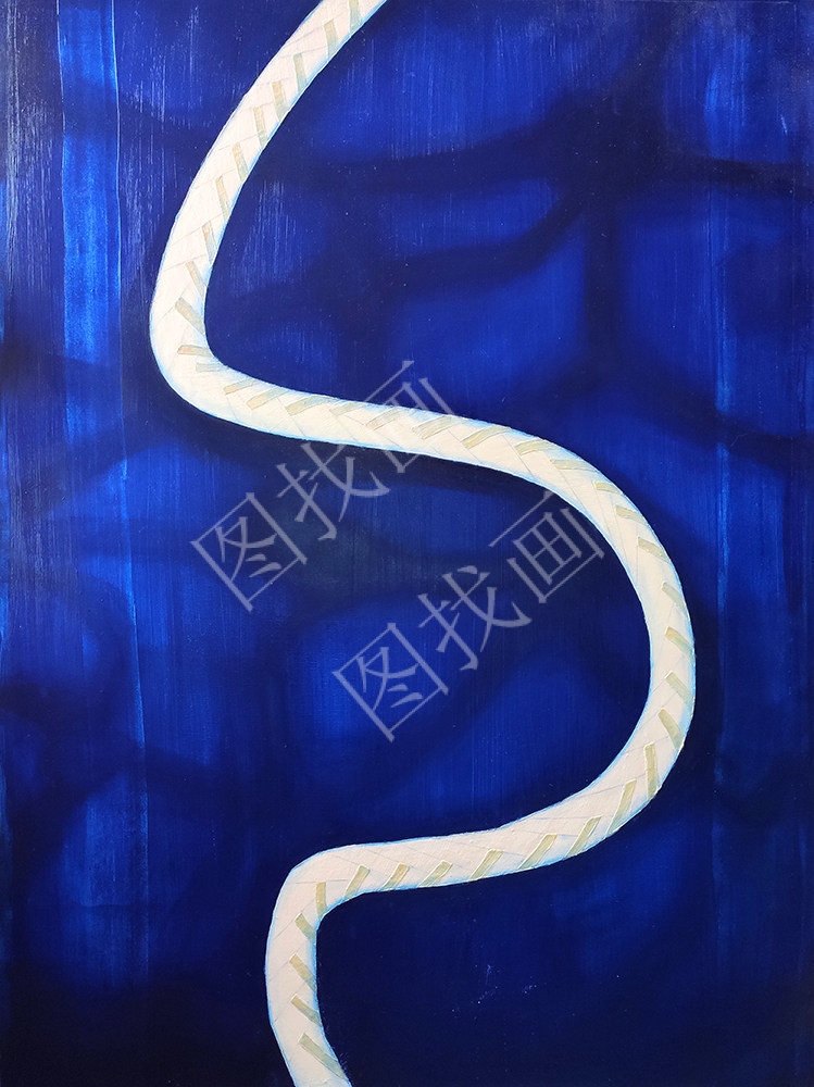（3）  赵雨蕾   万象系列(1) 37.5x50cm